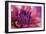Dahlia Centre Pink Purple-Cora Niele-Framed Giclee Print