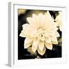 Dahlia Cream I-Joseph Eta-Framed Giclee Print