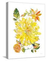 Dahlia Delight of the Day III-Kristy Rice-Stretched Canvas