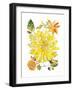 Dahlia Delight of the Day III-Kristy Rice-Framed Art Print