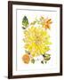 Dahlia Delight of the Day III-Kristy Rice-Framed Art Print