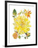 Dahlia Delight of the Day III-Kristy Rice-Framed Art Print