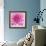 Dahlia Delight-Karen Ussery-Framed Giclee Print displayed on a wall