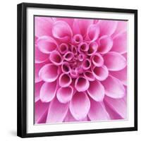 Dahlia Delight-Karen Ussery-Framed Giclee Print