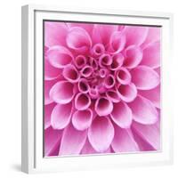 Dahlia Delight-Karen Ussery-Framed Giclee Print