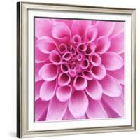 Dahlia Delight-Karen Ussery-Framed Giclee Print