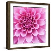 Dahlia Delight-Karen Ussery-Framed Giclee Print