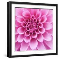 Dahlia Delight-Karen Ussery-Framed Giclee Print