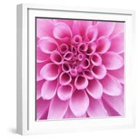 Dahlia Delight-Karen Ussery-Framed Giclee Print