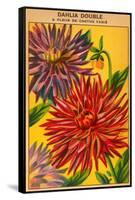 Dahlia Double Seed Packet-null-Framed Stretched Canvas