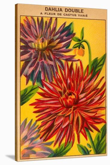 Dahlia Double Seed Packet-null-Stretched Canvas