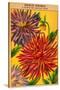 Dahlia Double Seed Packet-null-Stretched Canvas