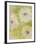 Dahlia Dream I-Emma Forrester-Framed Giclee Print