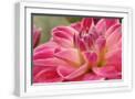 White Frame