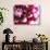 Dahlia Flower with Petals Radiating Outward, Sammamish, Washington, USA-Darrell Gulin-Photographic Print displayed on a wall