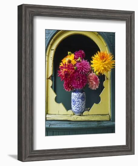 Dahlia Flowers in Vase, Ornate Window Frame, Bellingham, Washington, USA-Steve Satushek-Framed Photographic Print