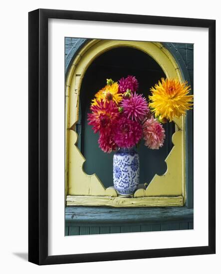 Dahlia Flowers in Vase, Ornate Window Frame, Bellingham, Washington, USA-Steve Satushek-Framed Photographic Print