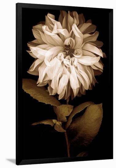 Dahlia I-Caroline Kelly-Framed Photo