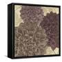 Dahlia II-N. Harbick-Framed Stretched Canvas