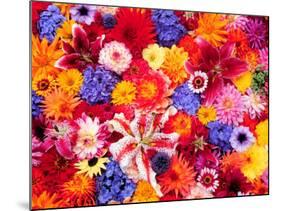Dahlia, Oriental Lilies, Sunflower, Petunia, Zinnia, Hydrangea Bloom, Sammamish, Washington, USA-Darrell Gulin-Mounted Photographic Print