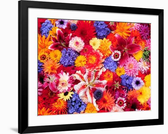 Dahlia, Oriental Lilies, Sunflower, Petunia, Zinnia, Hydrangea Bloom, Sammamish, Washington, USA-Darrell Gulin-Framed Photographic Print