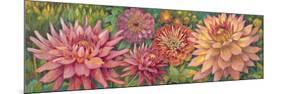 Dahlia Parade-Vera Hills-Mounted Premium Giclee Print