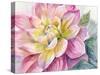 Dahlia Pink 1-Patti Bishop-Stretched Canvas