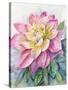 Dahlia Pink 2-Patti Bishop-Stretched Canvas