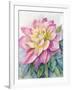 Dahlia Pink 2-Patti Bishop-Framed Art Print