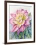 Dahlia Pink 2-Patti Bishop-Framed Art Print