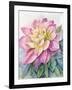 Dahlia Pink 2-Patti Bishop-Framed Art Print