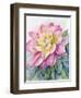 Dahlia Pink 2-Patti Bishop-Framed Art Print