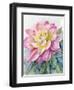 Dahlia Pink 2-Patti Bishop-Framed Art Print