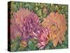 Dahlia Profile 1-Vera Hills-Stretched Canvas