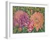 Dahlia Profile 1-Vera Hills-Framed Art Print