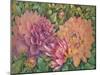 Dahlia Profile 1-Vera Hills-Mounted Art Print