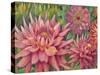 Dahlia Profile 2-Vera Hills-Stretched Canvas