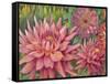 Dahlia Profile 2-Vera Hills-Framed Stretched Canvas