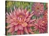 Dahlia Profile 2-Vera Hills-Stretched Canvas