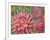 Dahlia Profile 2-Vera Hills-Framed Art Print