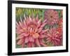 Dahlia Profile 2-Vera Hills-Framed Art Print