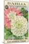 Dahlia Seed Packet-null-Mounted Art Print