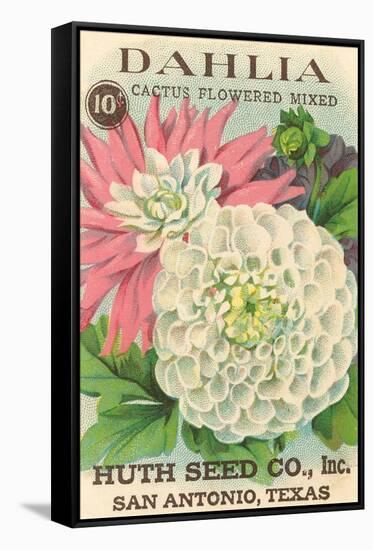 Dahlia Seed Packet-null-Framed Stretched Canvas