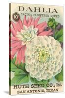 Dahlia Seed Packet-null-Stretched Canvas
