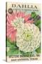 Dahlia Seed Packet-null-Stretched Canvas