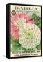 Dahlia Seed Packet-null-Framed Stretched Canvas