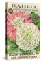 Dahlia Seed Packet-null-Stretched Canvas