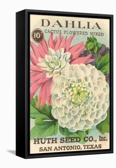 Dahlia Seed Packet-null-Framed Stretched Canvas