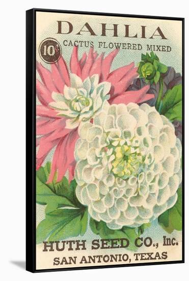 Dahlia Seed Packet-null-Framed Stretched Canvas