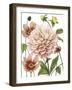 Dahlia Spell I-Grace Popp-Framed Art Print